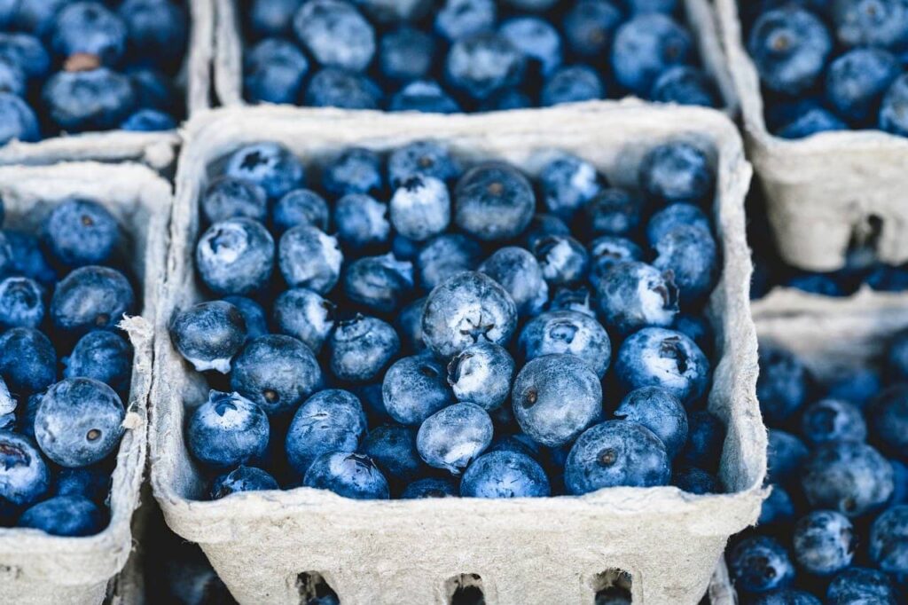 Las moras azules son un tipo de comida saludable que no te puedes perder.