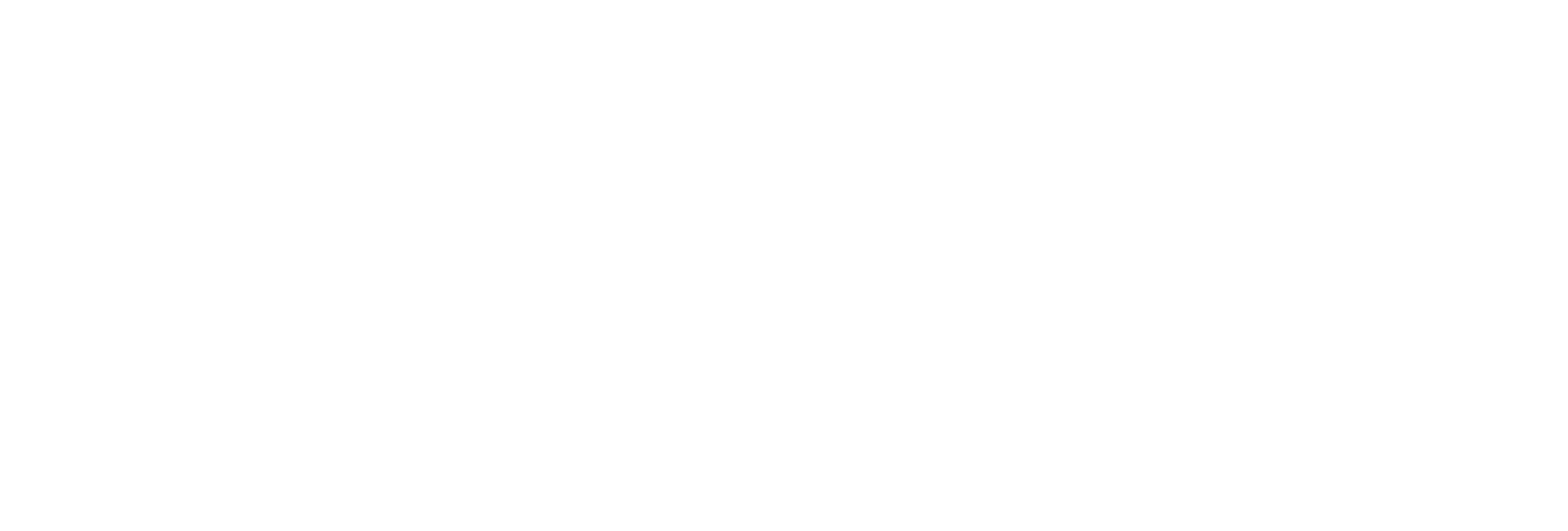 We Rise Project
