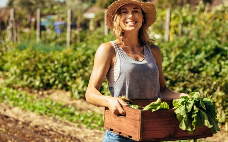 ¿Valen la pena los productos orgánicos?